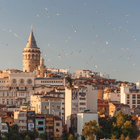 Architecture in Istanbul with white and blue buildings with flat and pointed roofs blue skies with birds 