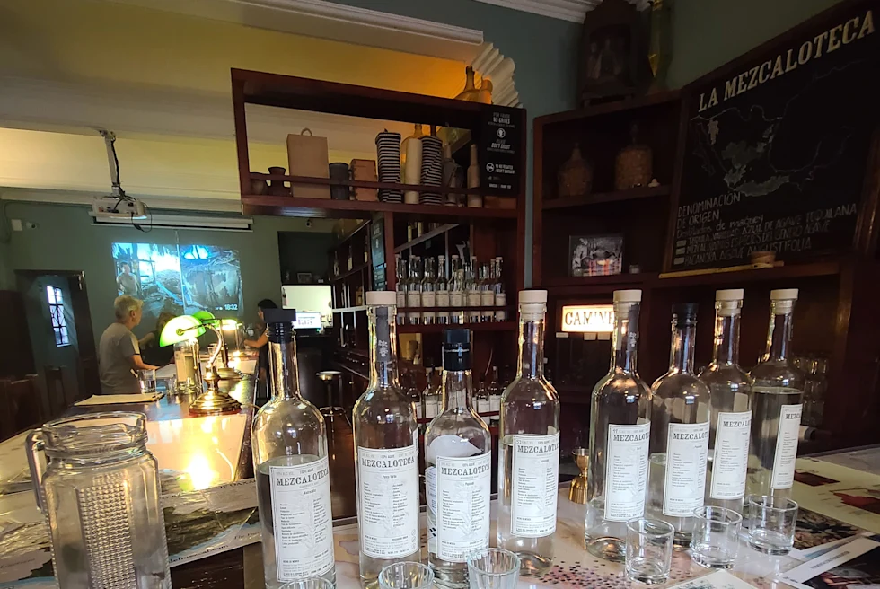 La Mezcaloteca is not an ordinary bar as it stands out as an exclusive tasting room that offers a truly remarkable mezcal (a distilled alcoholic beverage made from any type of agave) experience.