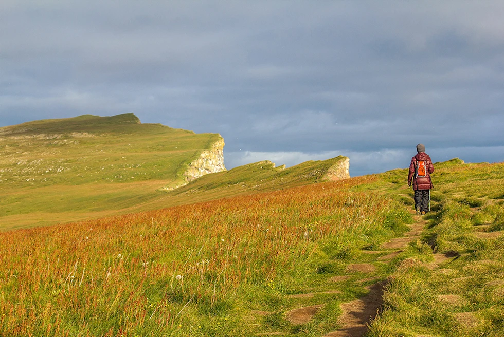 A man admiring one of the largest sea cliffs in Iceland.
