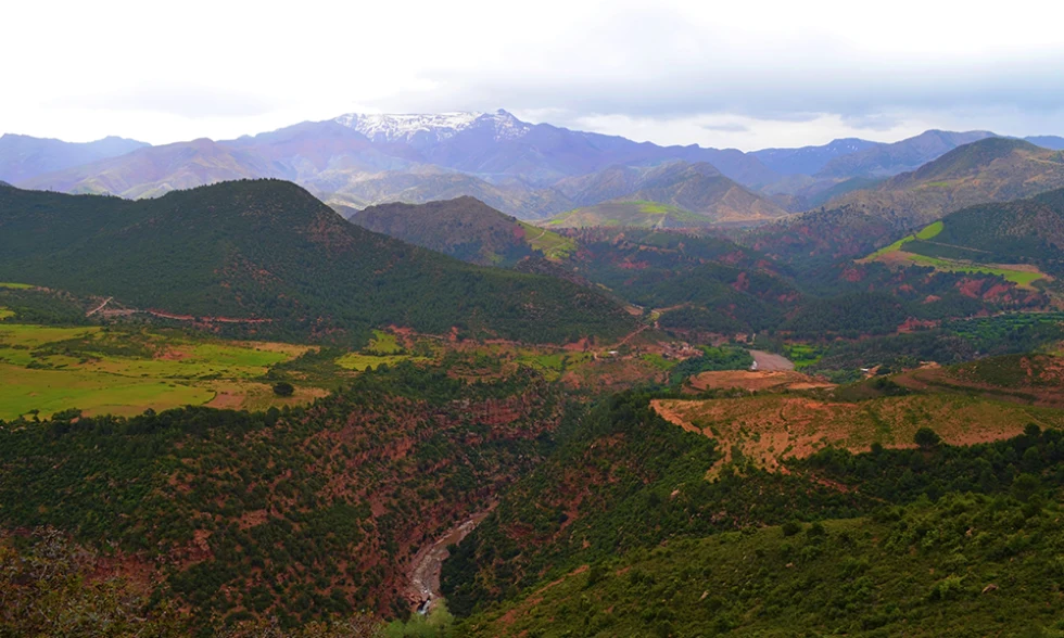 A Relaxing Getaway to Morocco - Day 4-6: Atlas Mountains