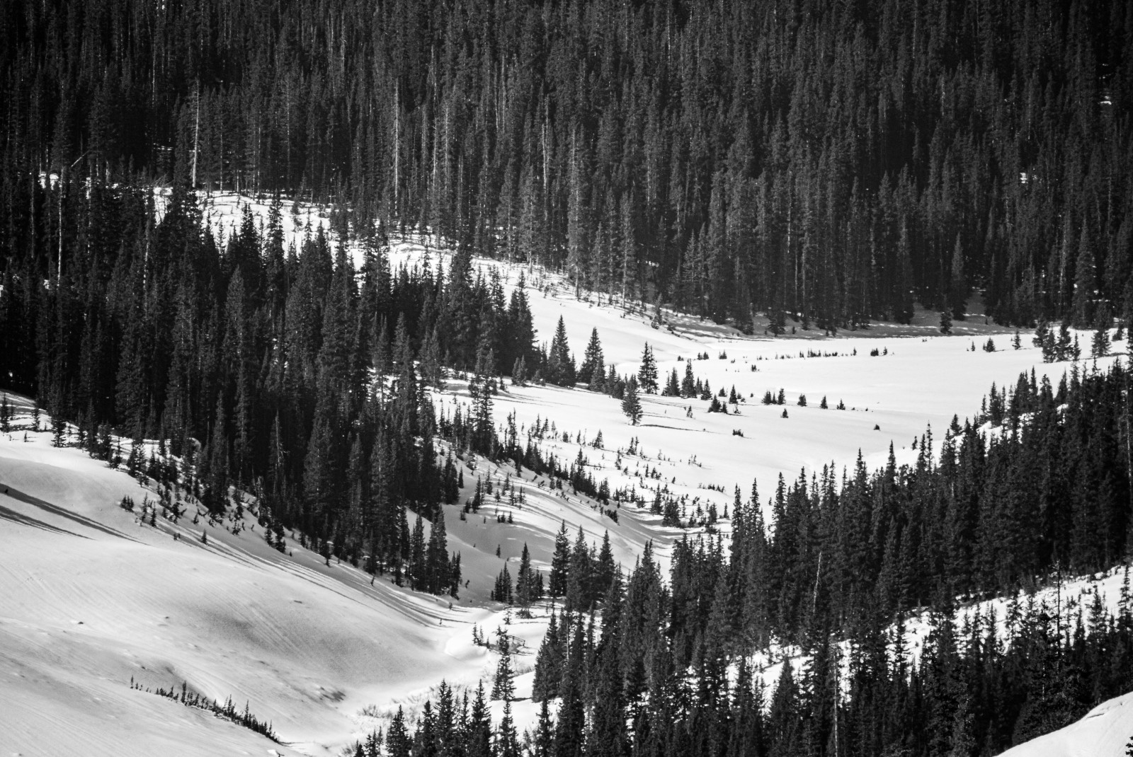 Snowy mountain lined with trees during daytime