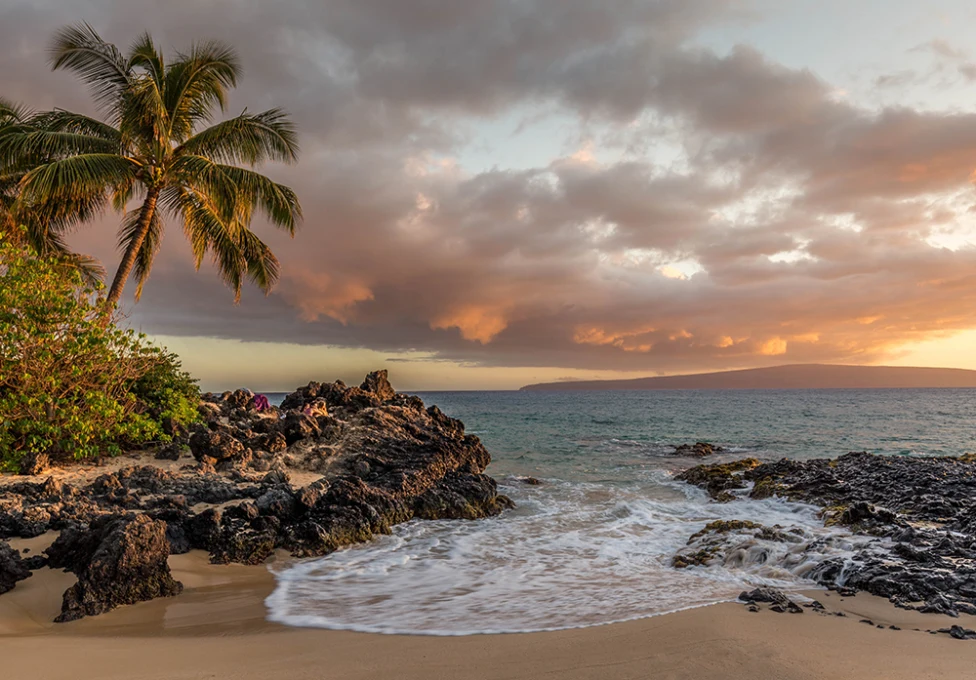 Pink and yellow cloudy sunset in Lana'i Hawaii with black rocks and tan sand and green bushes and palm trees with a blue ocean and white crashing waves.