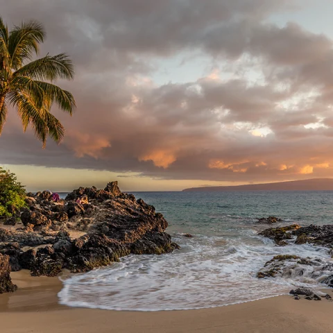 Pink and yellow cloudy sunset in Lana'i Hawaii with black rocks and tan sand and green bushes and palm trees with a blue ocean and white crashing waves.