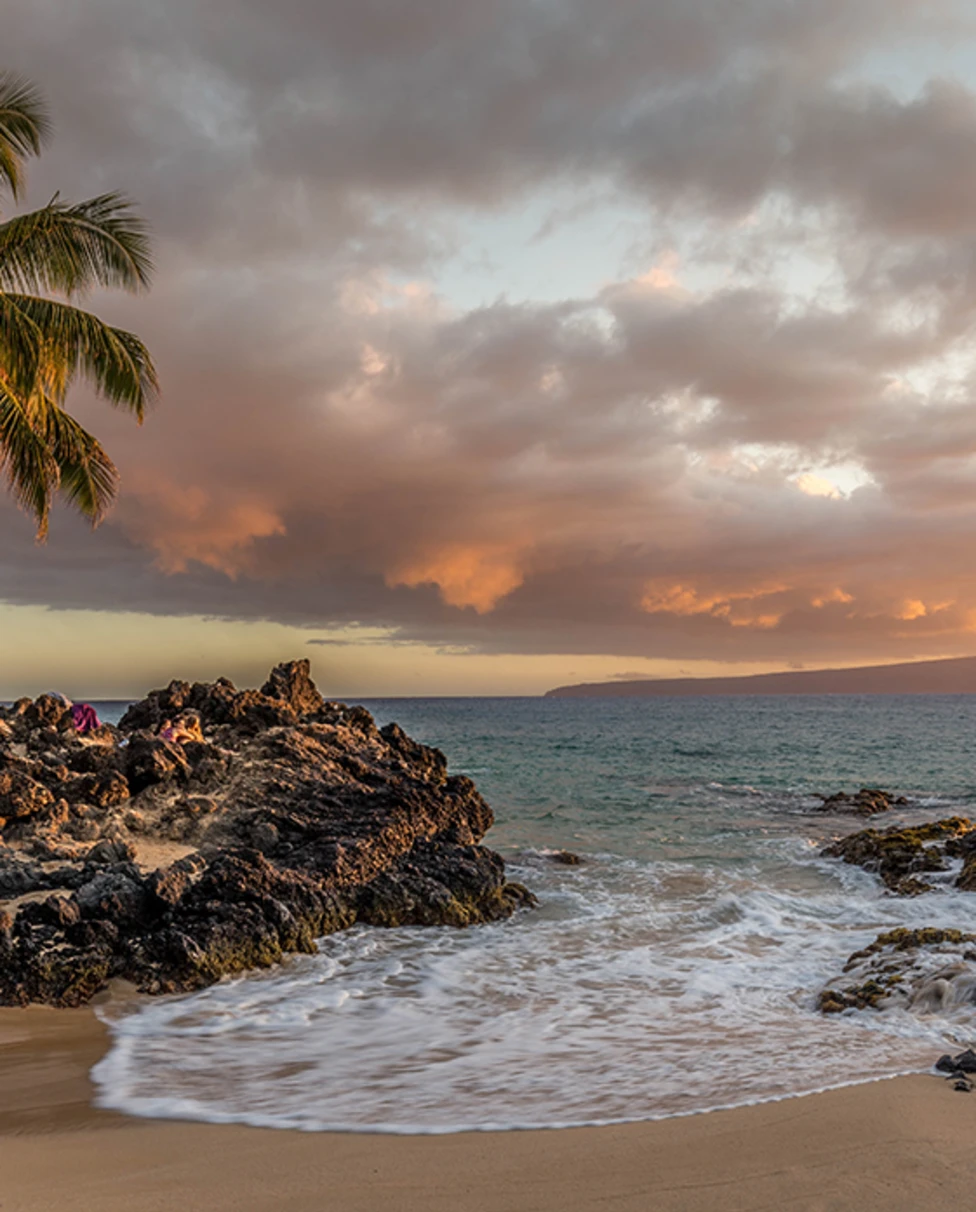 Pink and yellow cloudy sunset in Lana'i Hawaii with black rocks and tan sand and green bushes and palm trees with a blue ocean and white crashing waves.