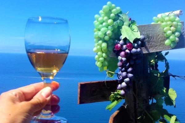 Enjoy a private wine tasting session at a local enoteca.