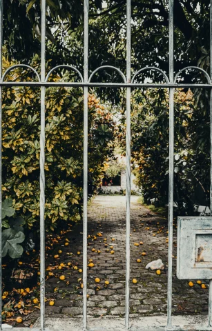 An iron fence in front of a garden during daytime.