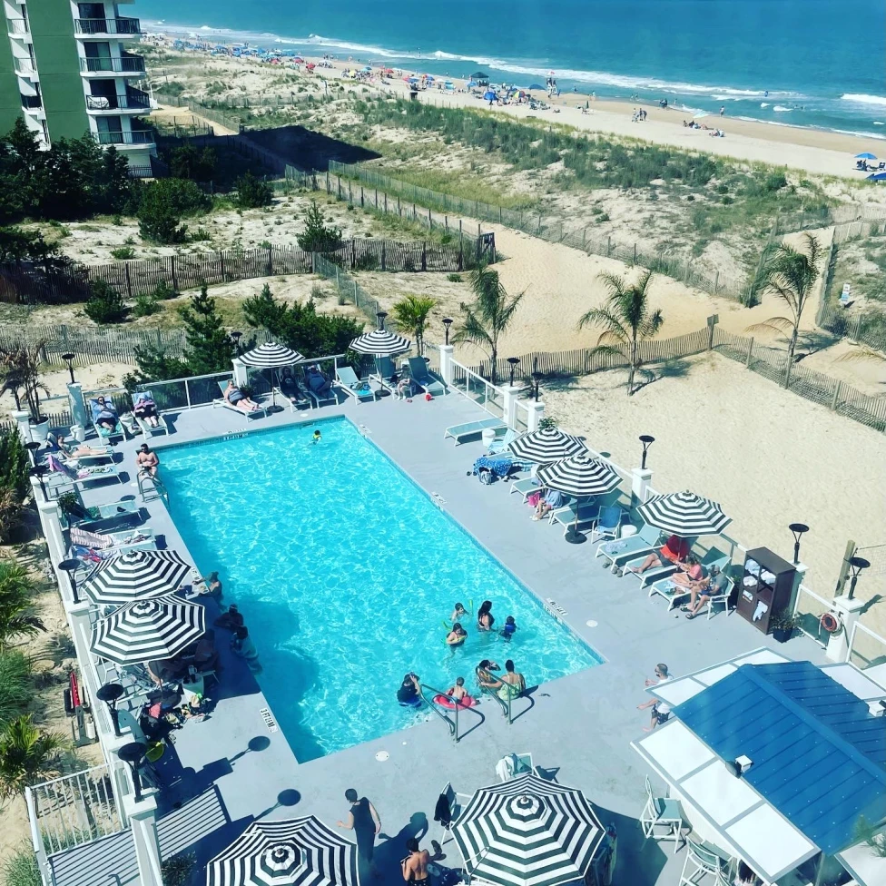 outdoor pool at a beach front hotel 