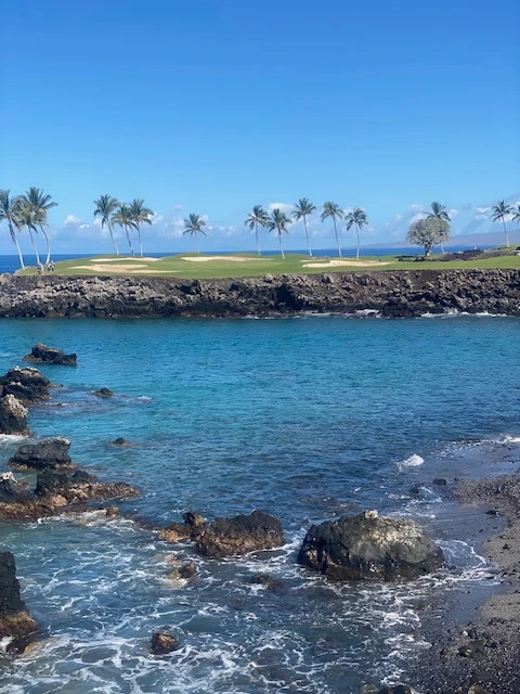 A picture of a blue harbor in Hawaii with a golf course, palm trees and rocks in view. 