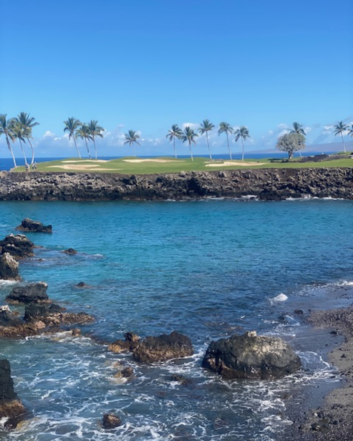 A picture of a blue harbor in Hawaii with a golf course, palm trees and rocks in view. 