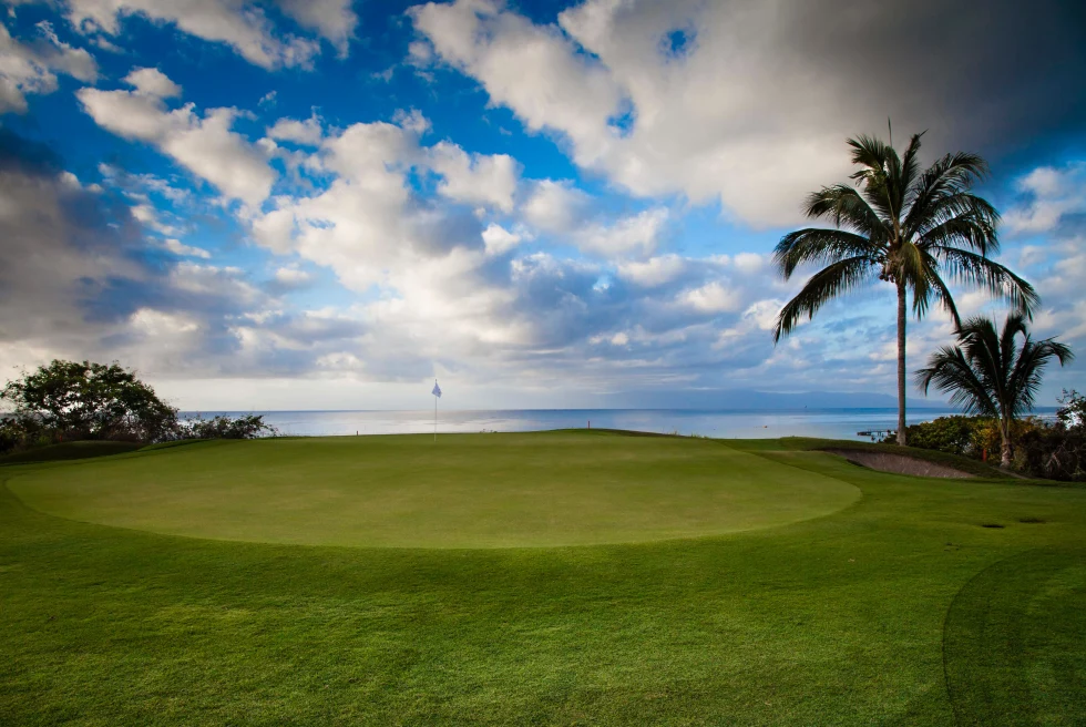 golf course with palm trees overlooking the ocean