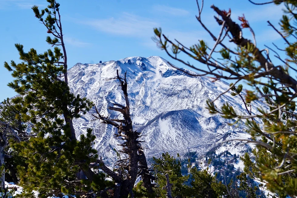 Icy Mountains