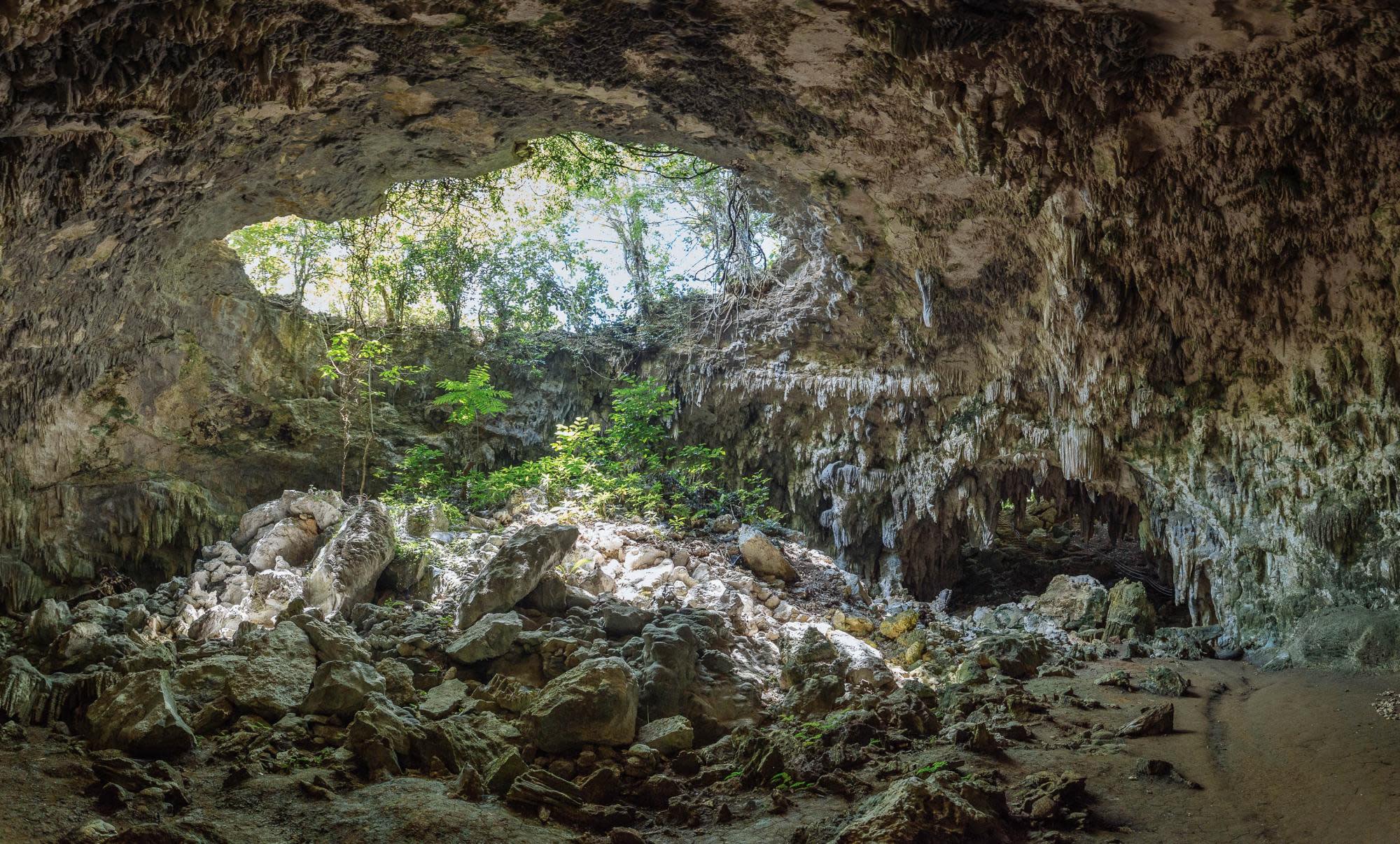 the-8-best-things-to-do-in-puerto-rico-with-kids-cave