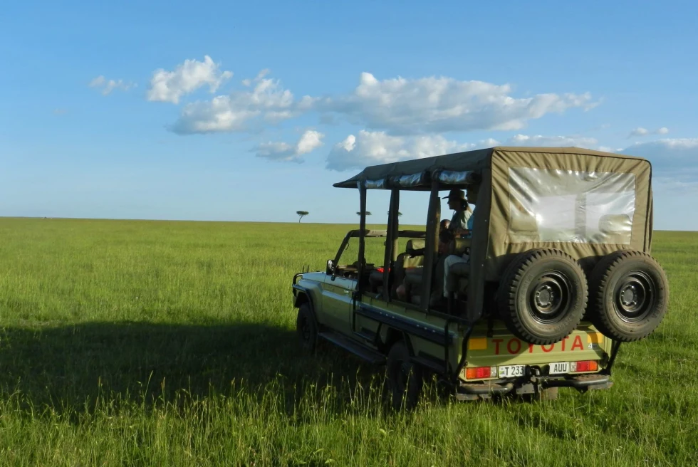 a safari vehicle in a grassy field of a national reserve on a clear clue day