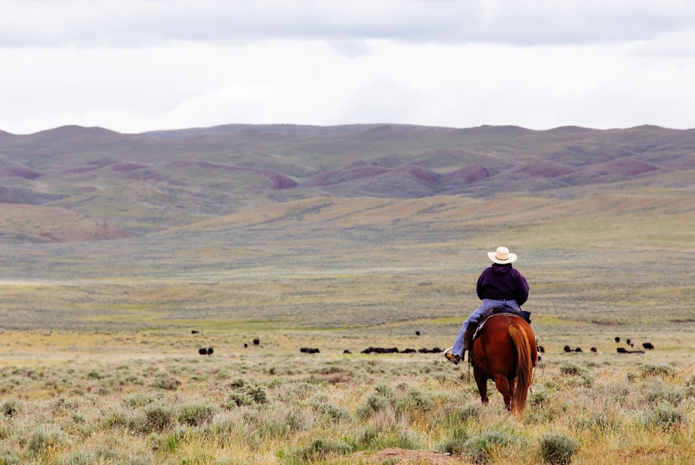 Horseback riding is one of the things to do in Montana.
