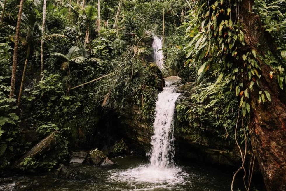 7-Day Itinerary in Puerto Rico - Day 2: Rainforest adventure