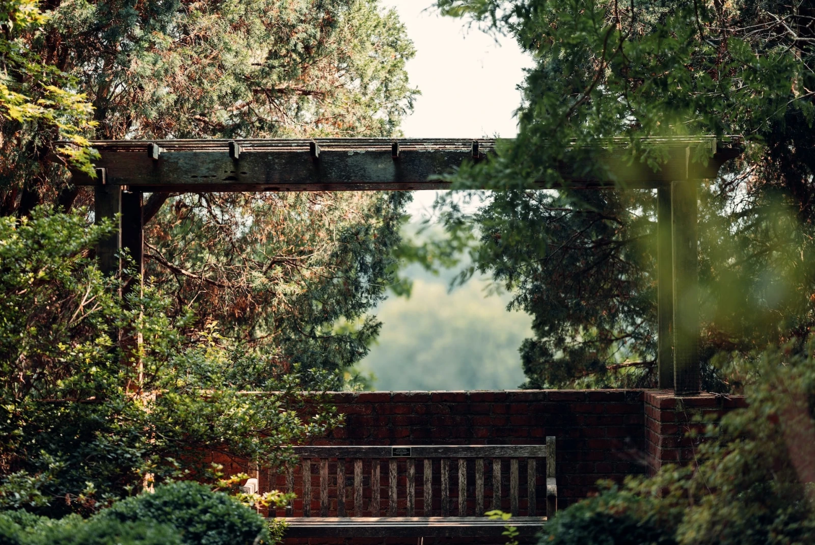 
A wooden bridge at beautiful lush green garden  National Arboretum