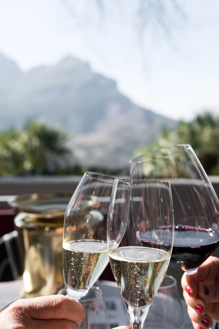 Wine, South Africa Travel Guide