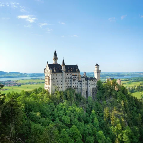 Neuschwanstein Castle surrounded by trees with blue skies in Bavaria