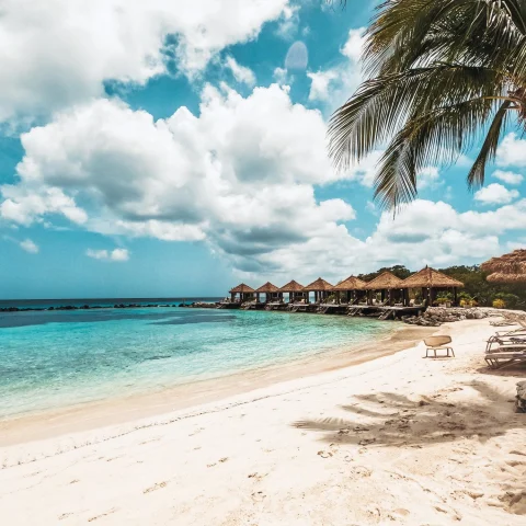 Pristine beach with palm trees in front of resort with bungalows.