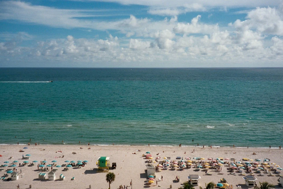 beach with lines of colorful umbrellas