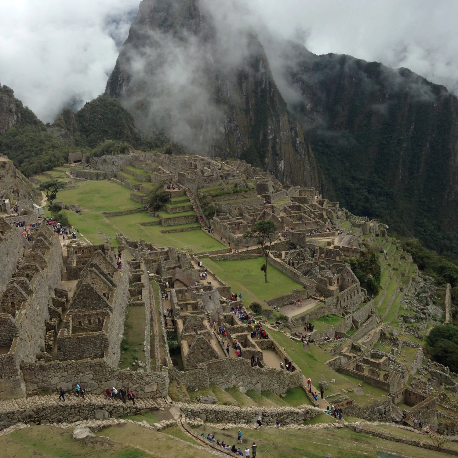 Macchu Picchu views. 