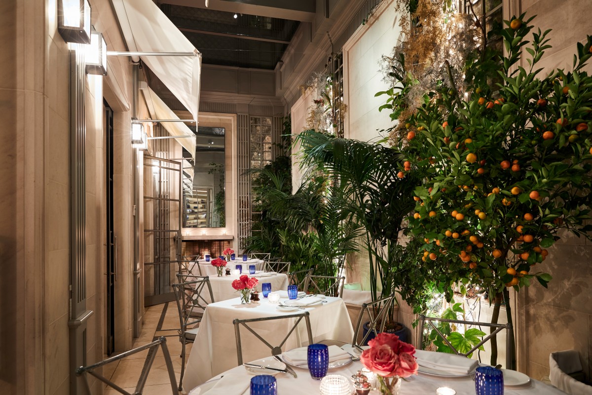tables with white tablecloths in an elegant courtyard with an leafy green tree bearing oranges
