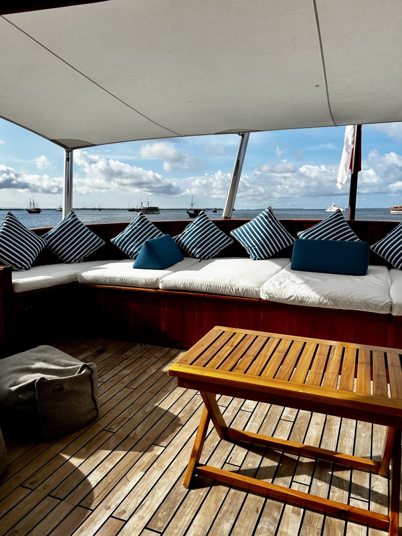 Outside deck of the Rascal Yacht with plush cushions, outdoor furniture and the sea in the distance.  
