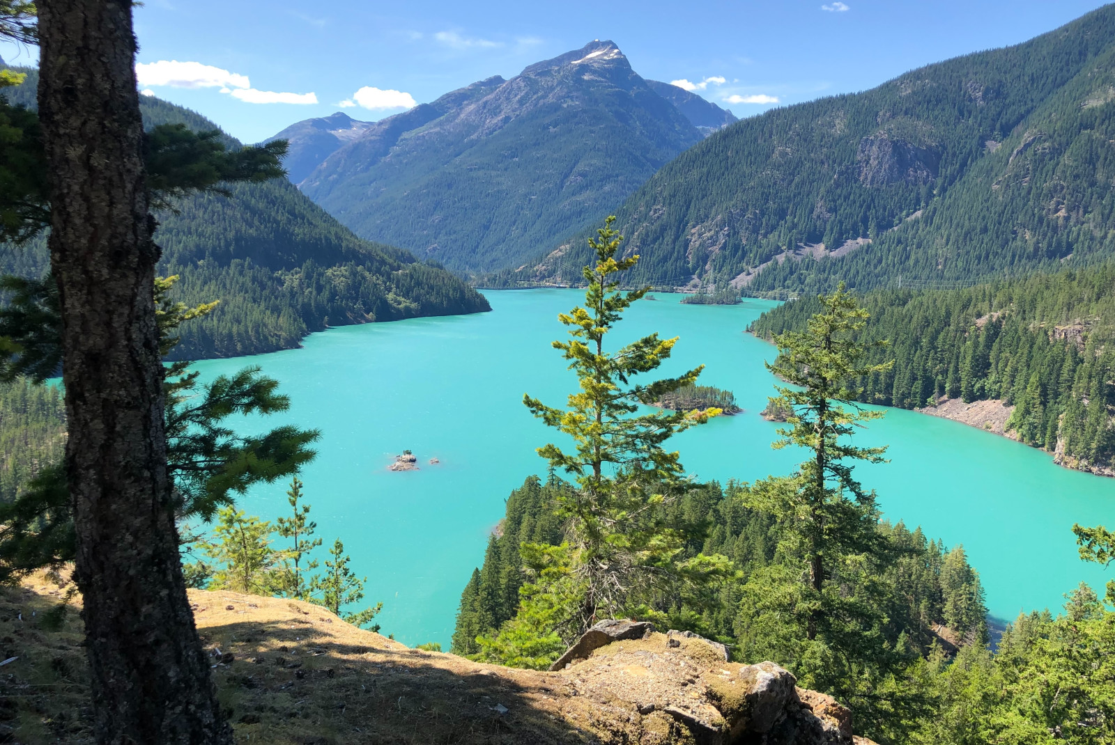 View of green trees and bright blue lake with mountains in background during daytime