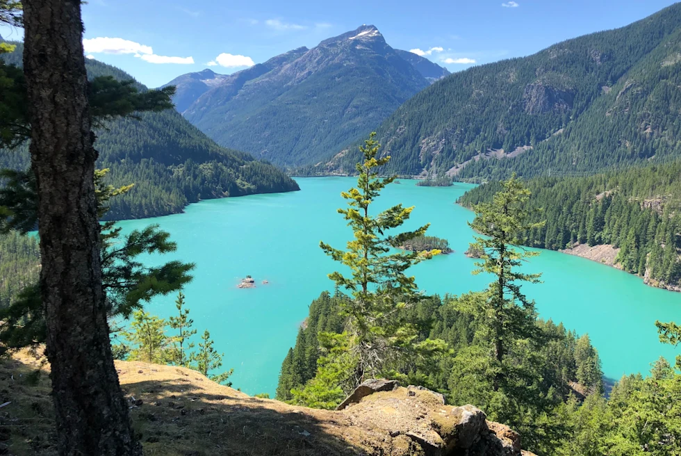 View of green trees and bright blue lake with mountains in background during daytime