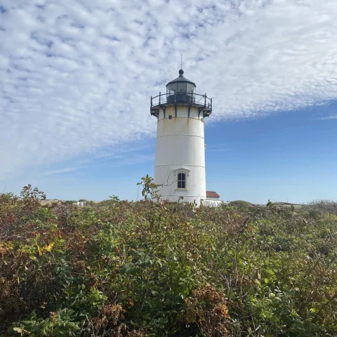 A lighthouse at the top of a grassy hill