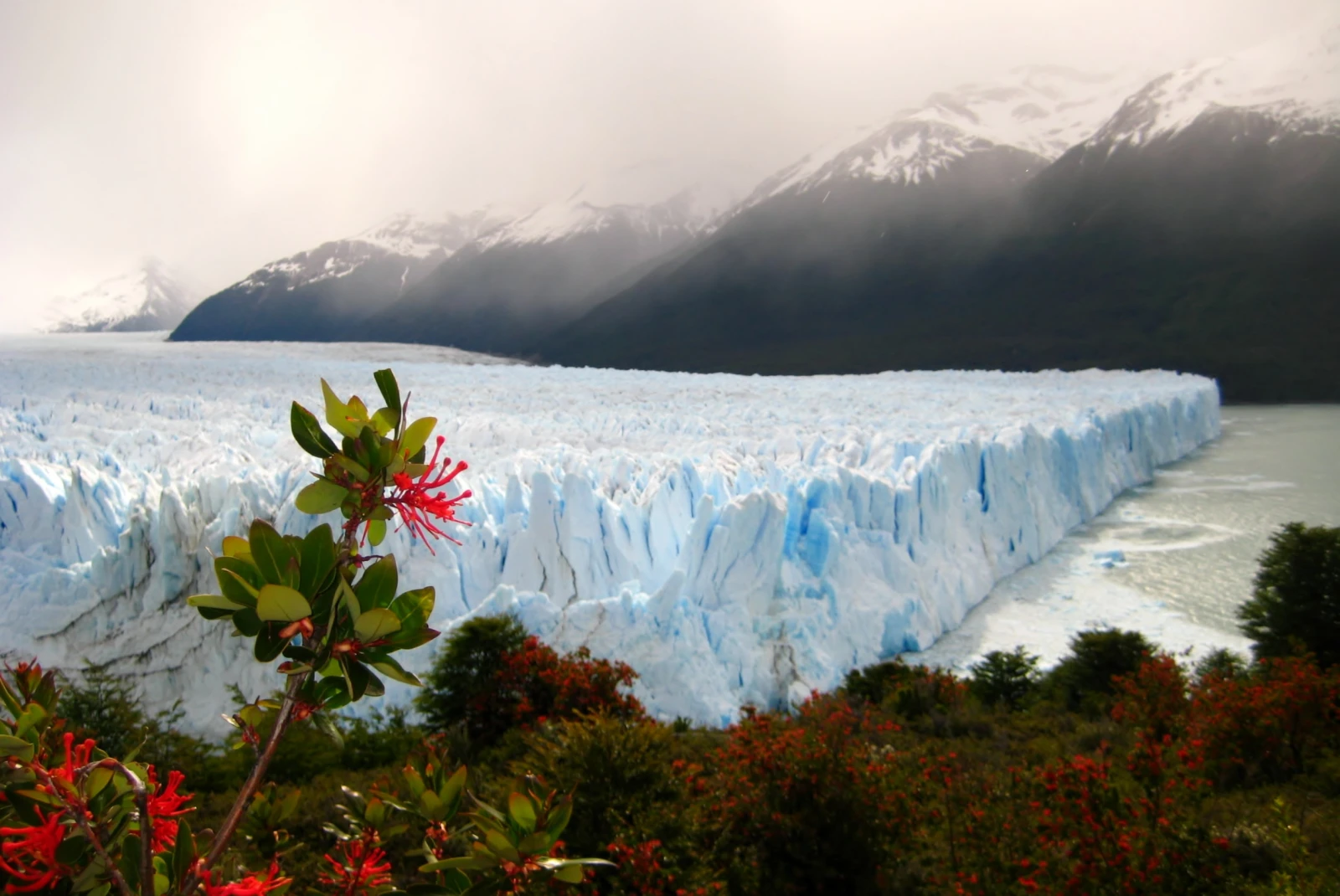 Perito Moreno Glacier in Southern Argentina. 