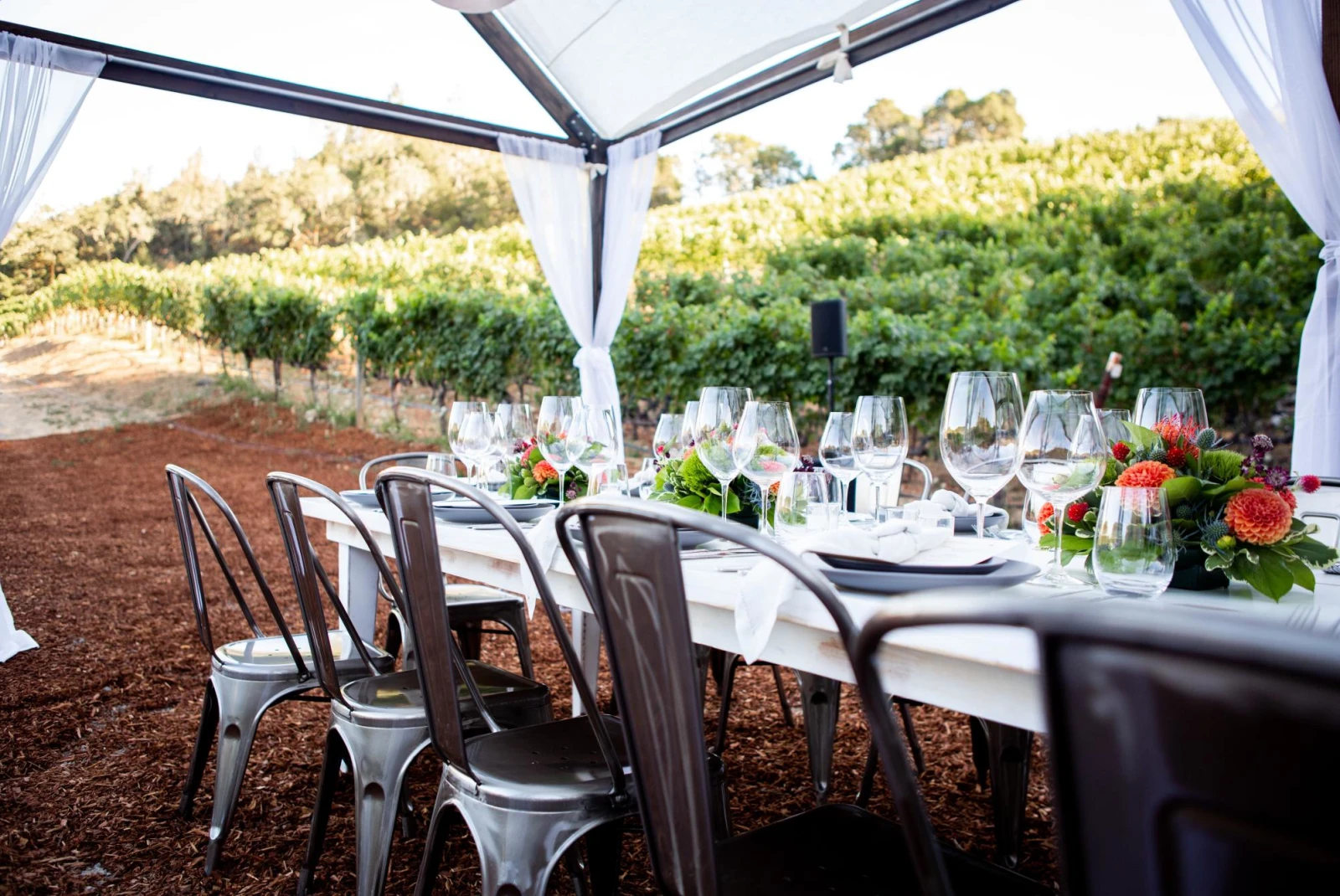 a white table cloth table set with wine glasses in a vineyard