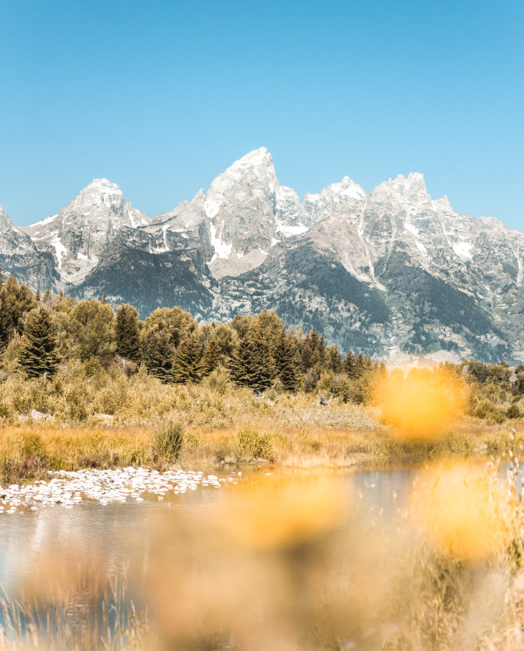 Trees and river with mountains in the background during daytime