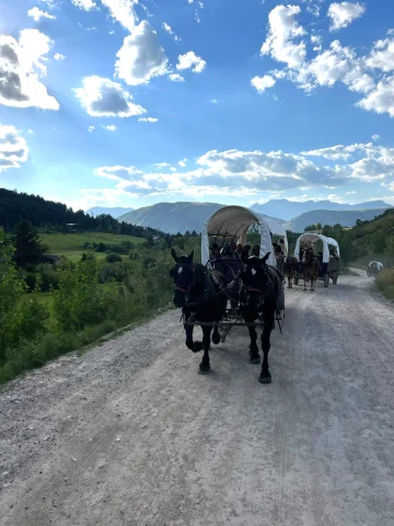 A picture of horses pulling a carriage down a dirt road with green plants, wildgrass and mountains in the distance. 