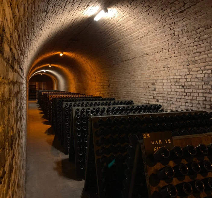 a dark wine wave with bottles of champagne on wooden shelves