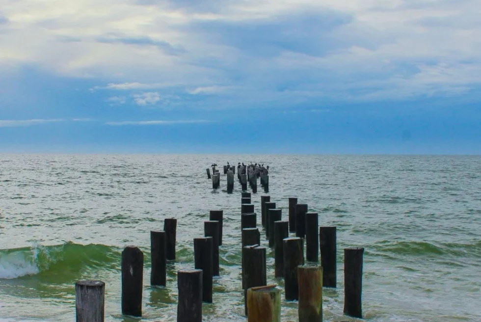 beach with wooden dock supports