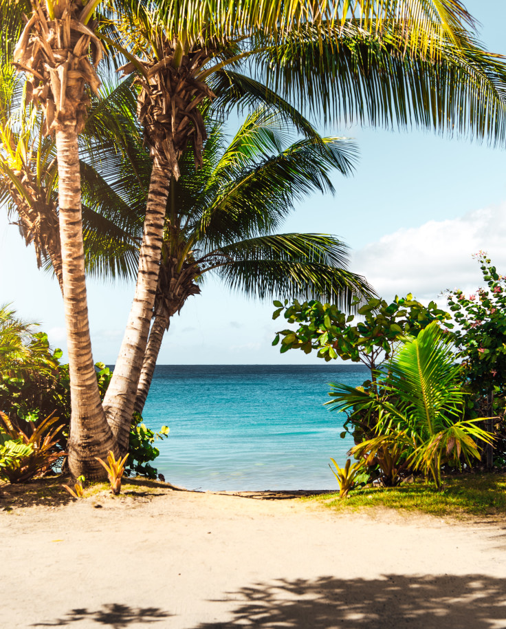 Girl on a surf board on a beach in Hawai'i. 