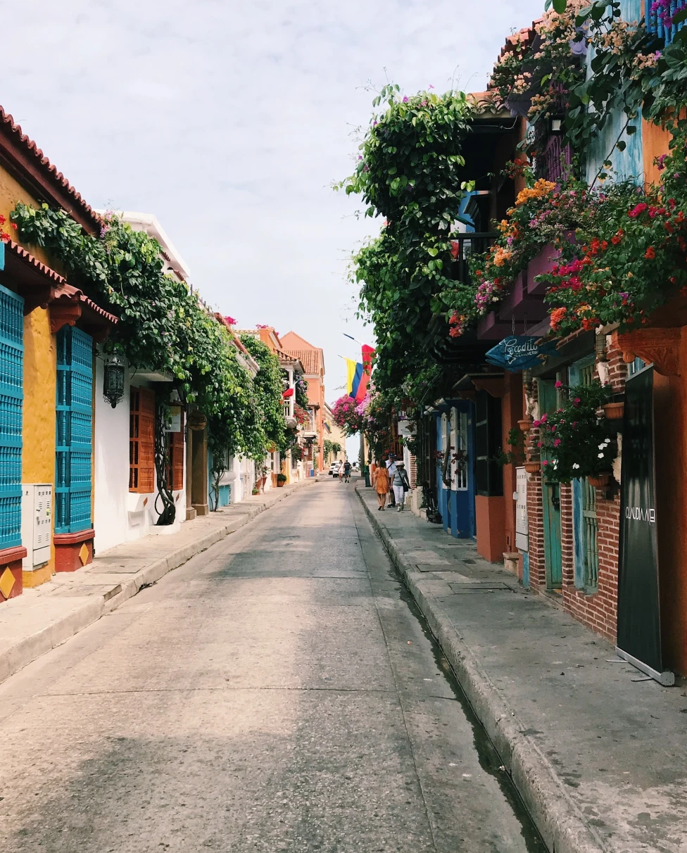 Colorful streets and vines of Cartagena, Colombia. 