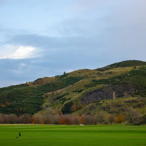 A large green lawn with a person dressed in black in the distance and large yellow green grassy hill with blue skies and white clouds