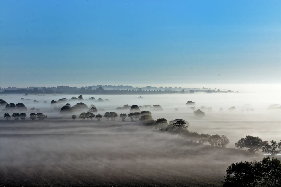 An aerial view of the foggy forest during daytime.