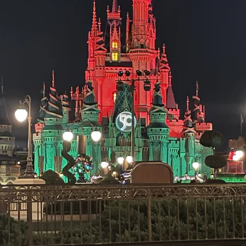 Disney Parks Christmas Castle