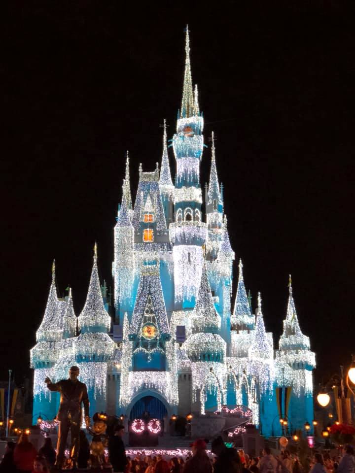 disney theme park