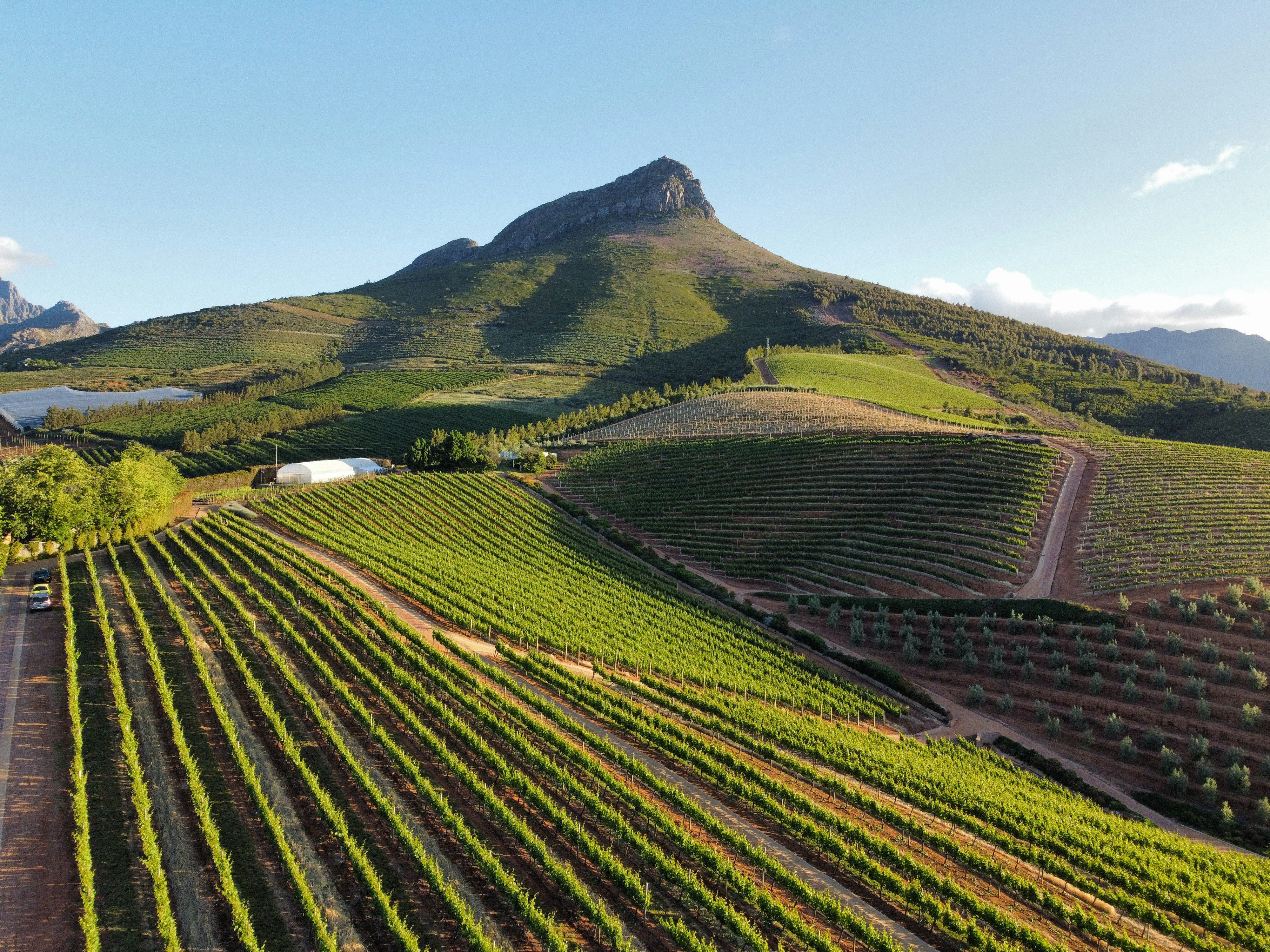 An aerial view of a large green field with a mountain in the background
