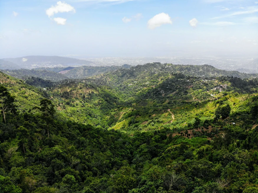 Landscape view of Jamaica