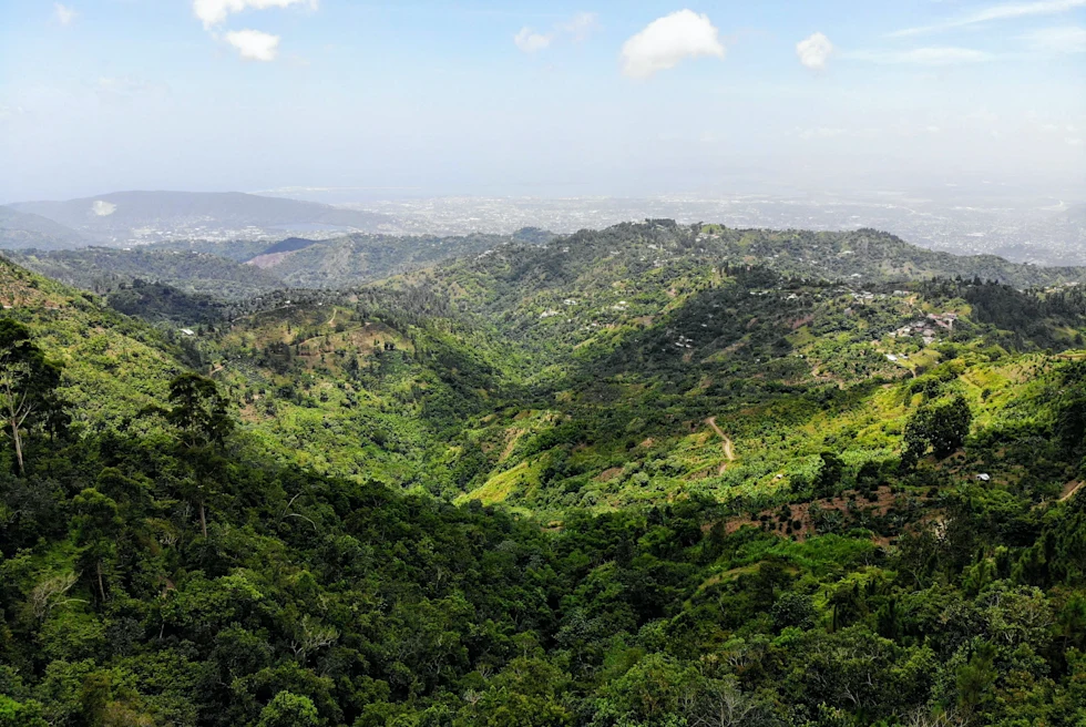 Landscape view of Jamaica
