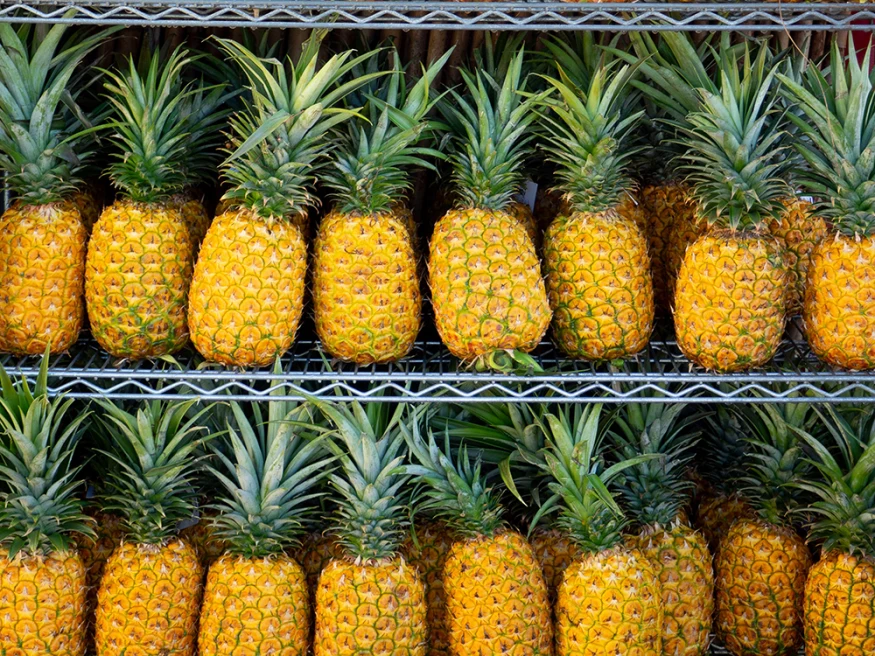 rows of golden pineapples with green spiky toppers