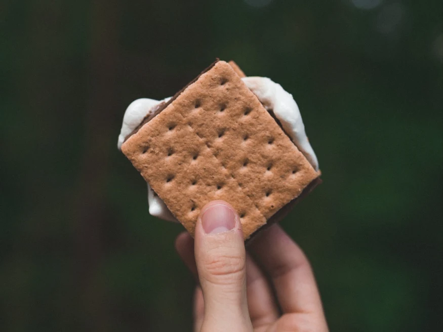 Smores sandwich held up in the wilderness.
