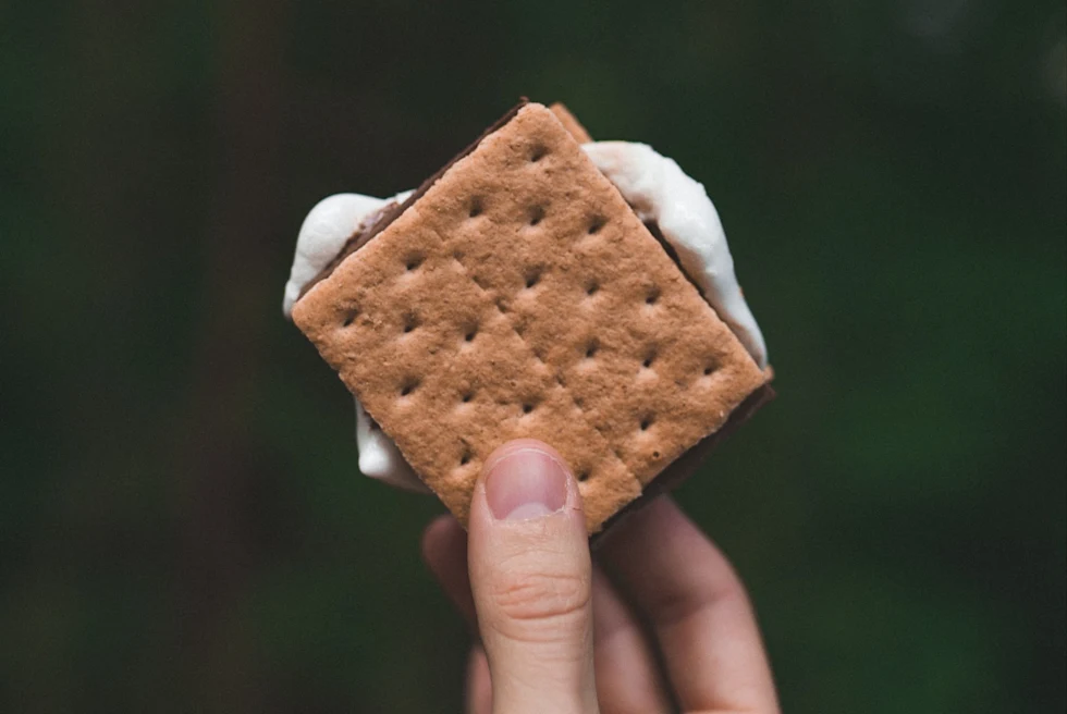 Smores sandwich held up in the wilderness.