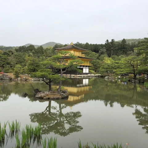 Off-the-Beaten-Path Guide to Kyoto, Japan curated by David Rosenberg