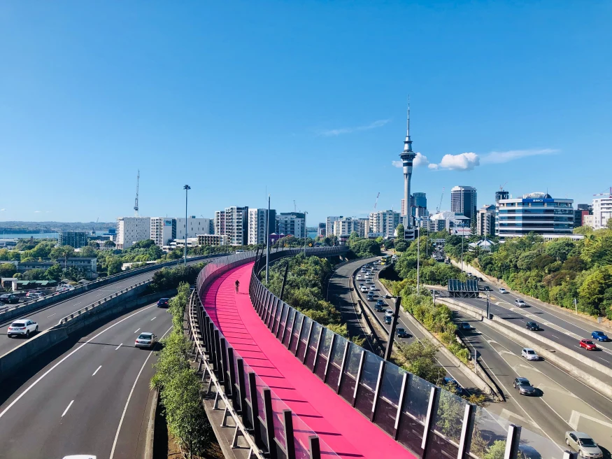 Auckland skyline with a pink running path. 